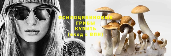 мескалин Балахна