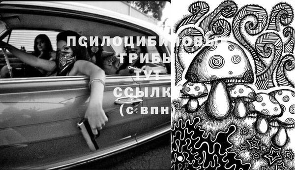 MDMA Premium VHQ Аркадак