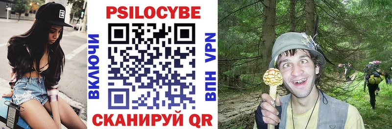 Псилоцибиновые грибы мицелий  купить   Афипский 